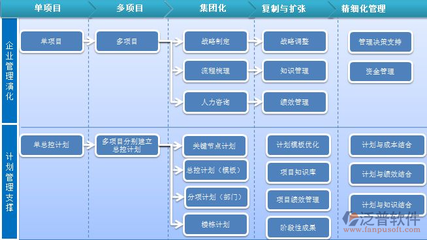 項目群管理軟件 企業現代化管理的核心引擎